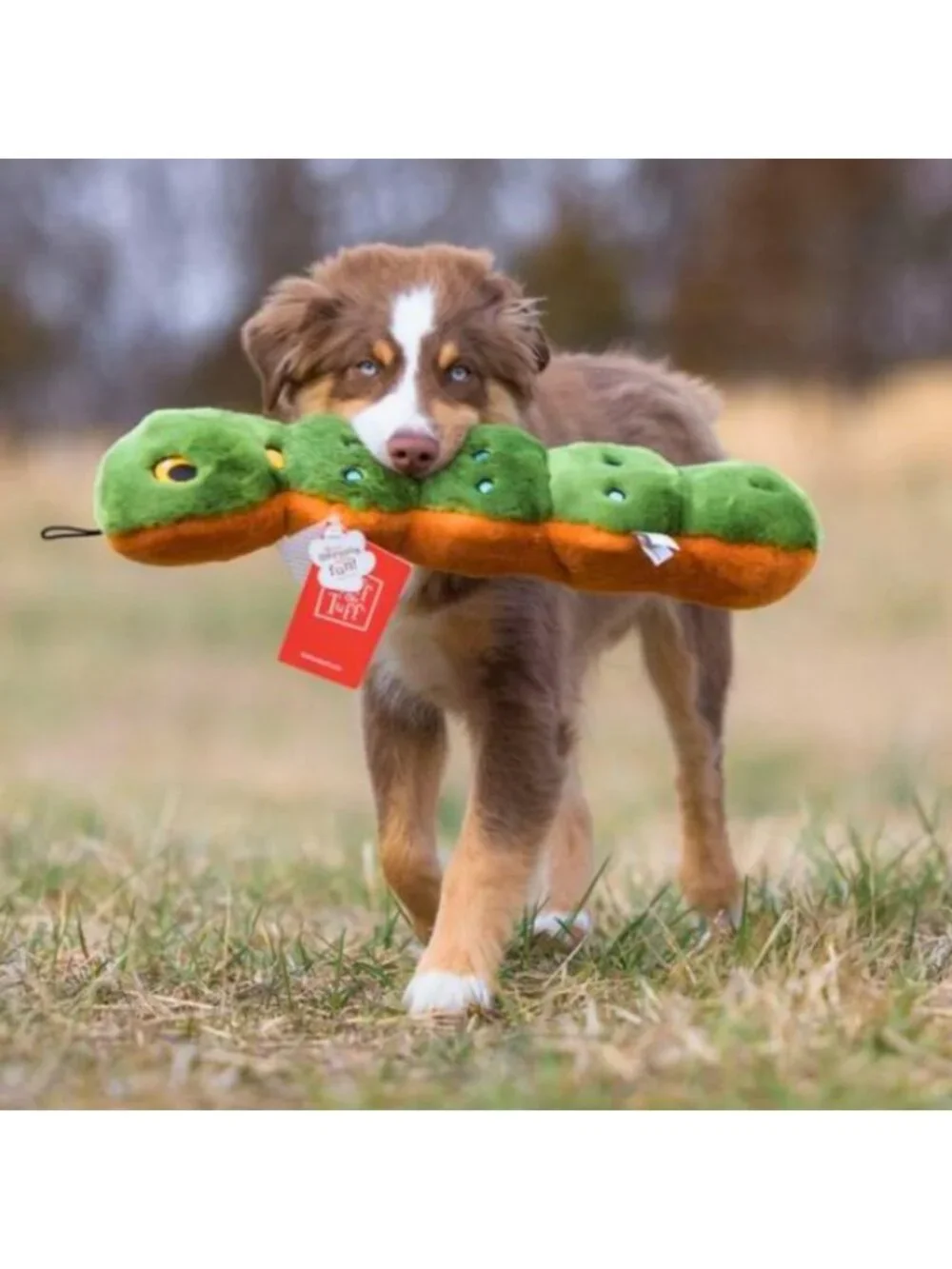 Soft Plush Caterpillar Toy | Durable, Squeaky, Perfect for Dogs & Puppies